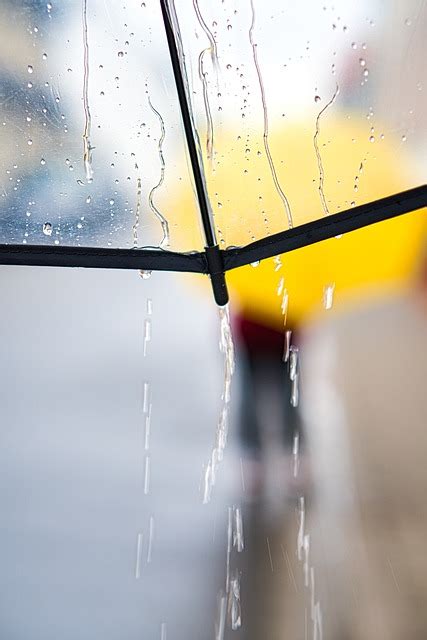 下雨天照片|超过 3100000 张关于“下雨天’”和“下雨天”的免费图片